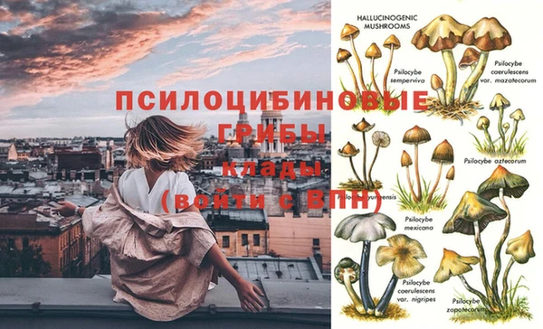 mix Армянск